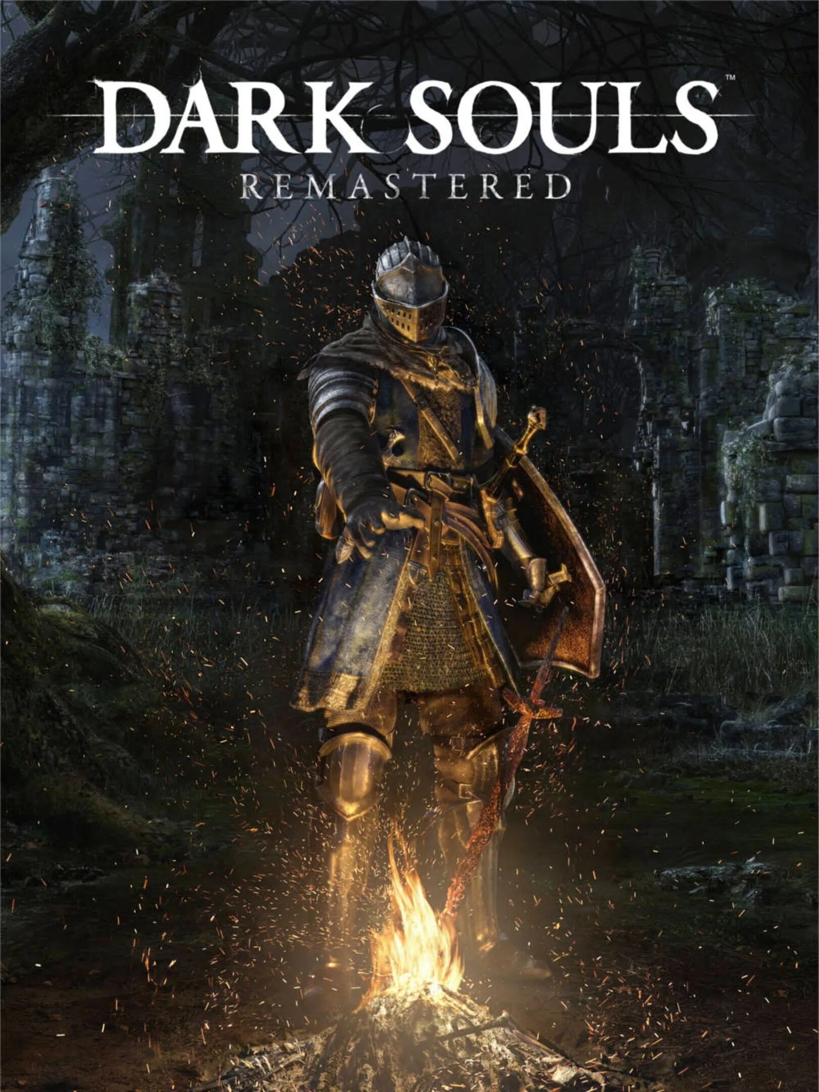 Обложка Dark Souls 1 Remastered