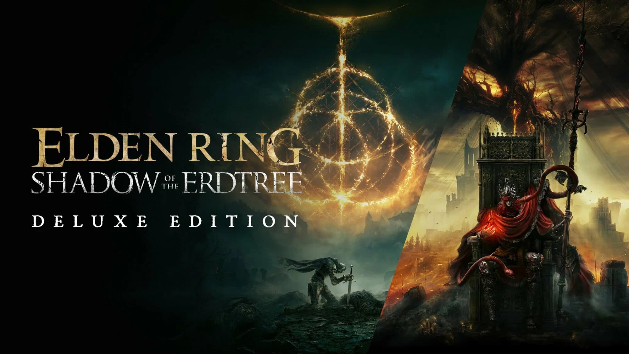 Обложка Elden Ring + DLC