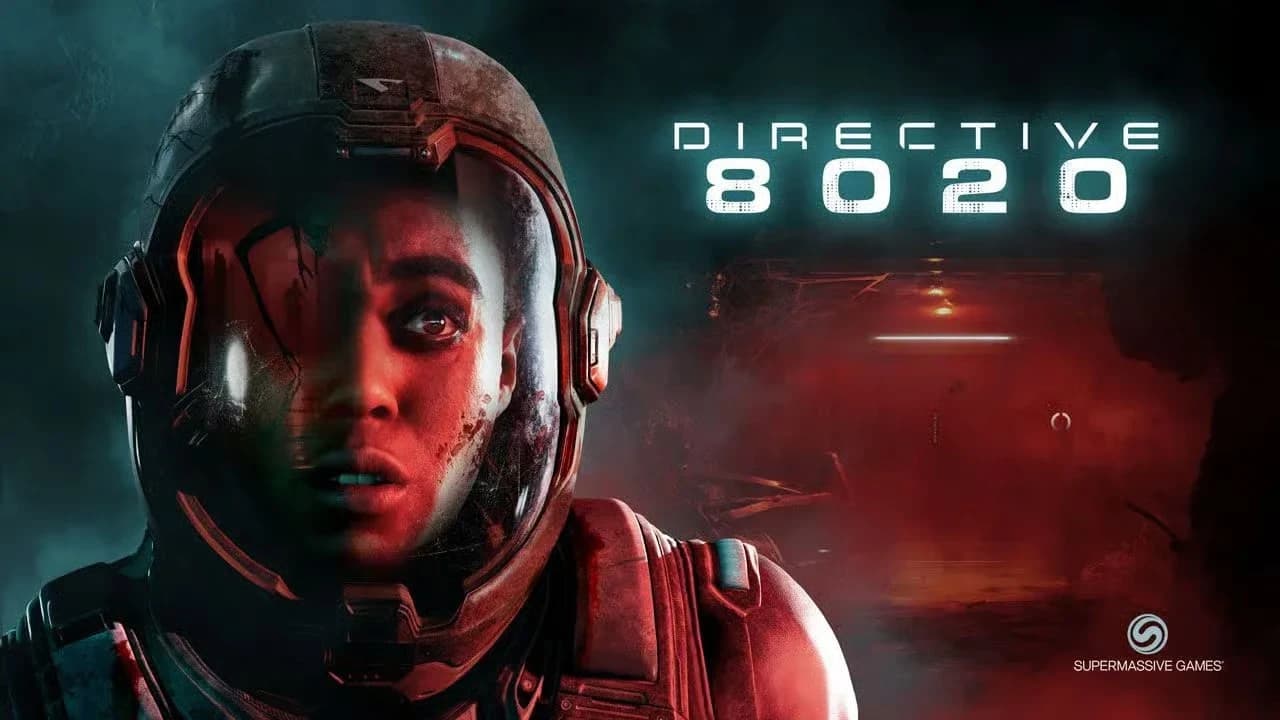 Обложка Directive 8020