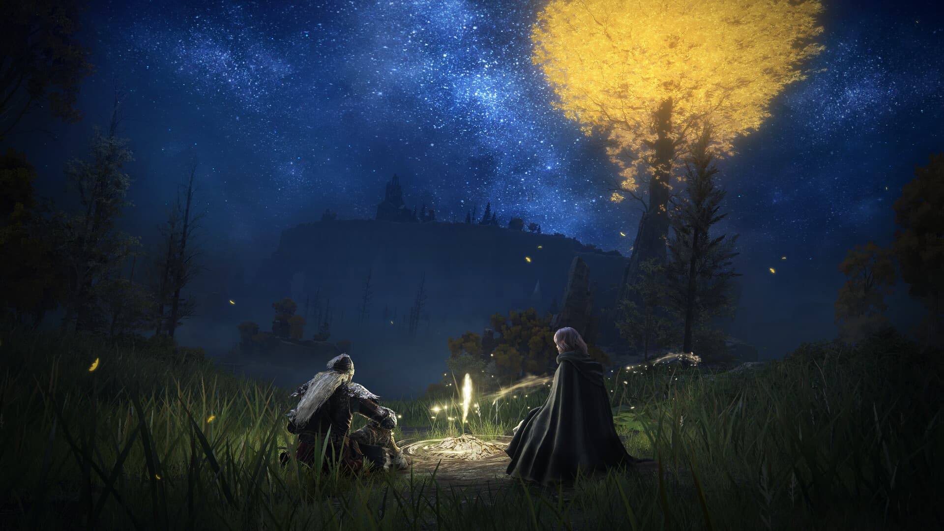 Скриншот игрового процесса Elden Ring Shadow of the erdtree edition 2