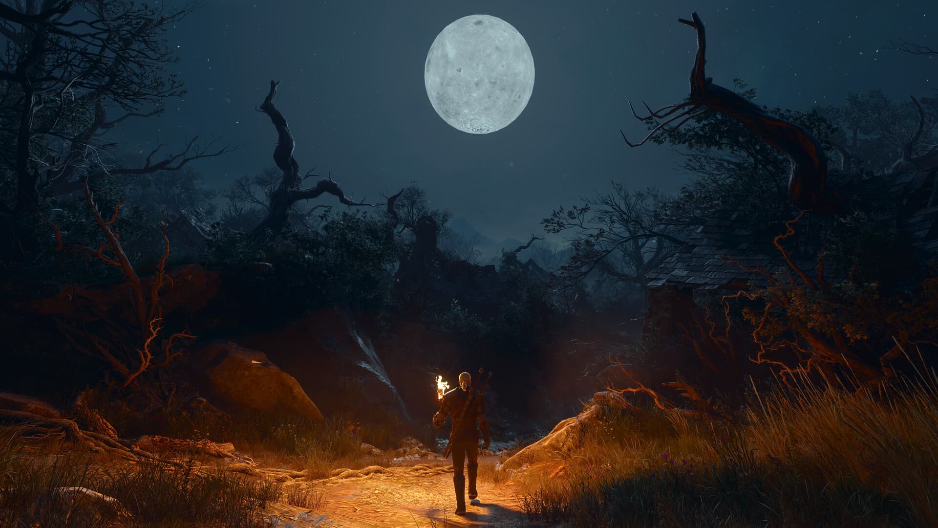 Скриншот игрового процесса The Witcher 3: Wild Hunt 3